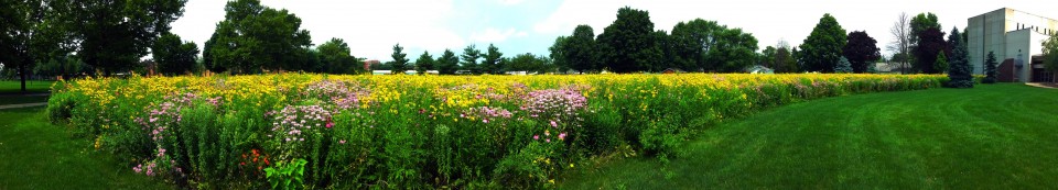 Some Well-Tempered Years